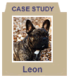 leon