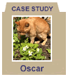 oscar