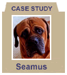 seamus